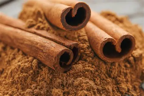 ORGANIC CINNAMON (VARIETY: CASSIA):