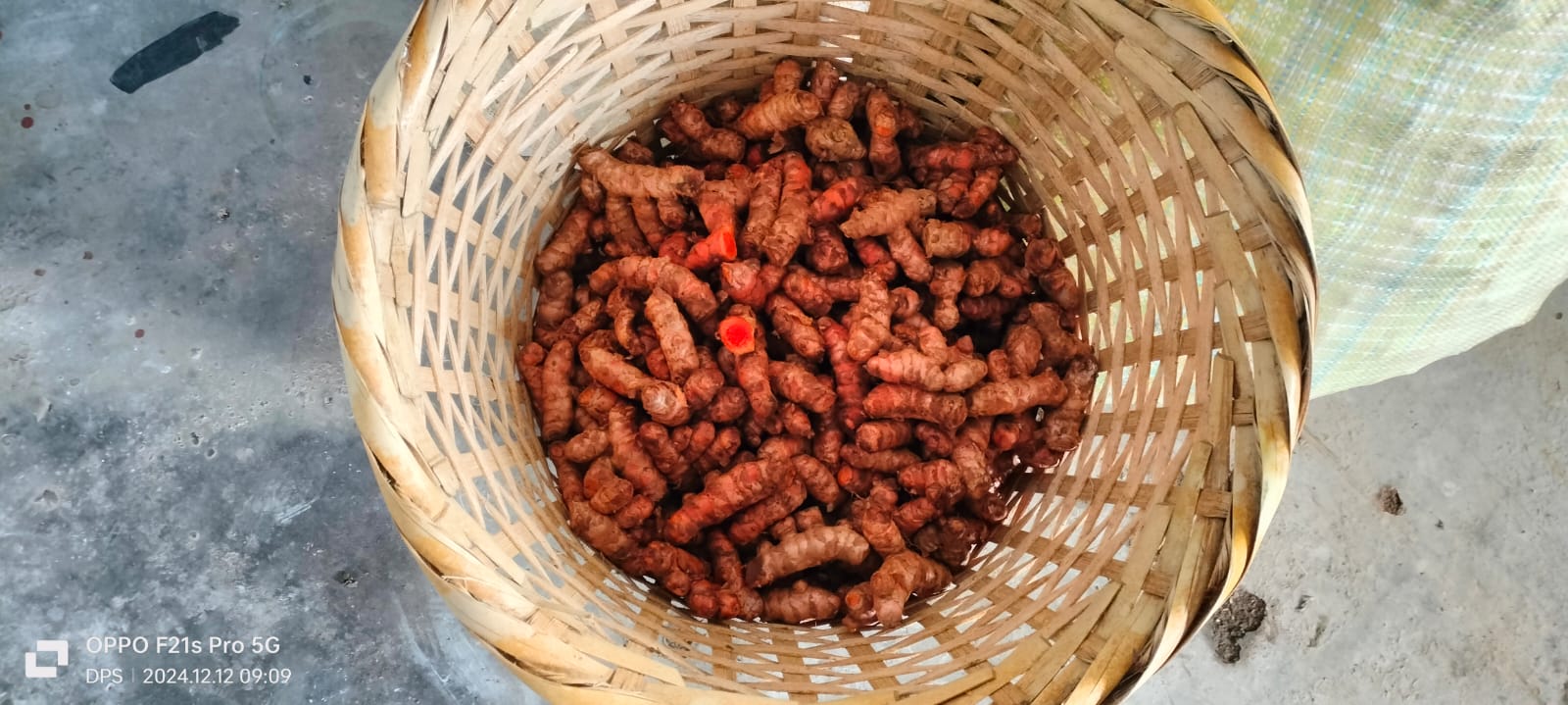 ORGANIC LAKADONG TURMERIC: