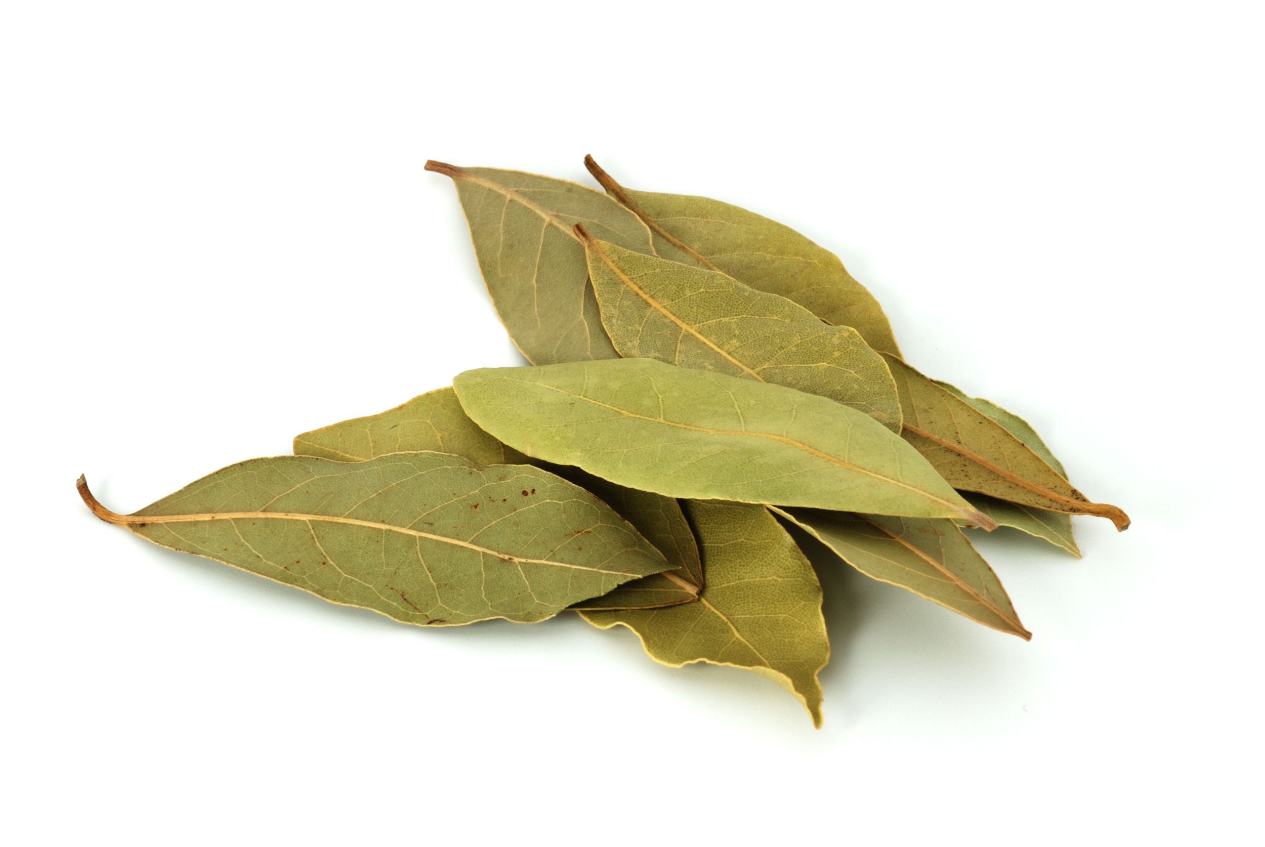 ORGANIC BAY LEAF:
