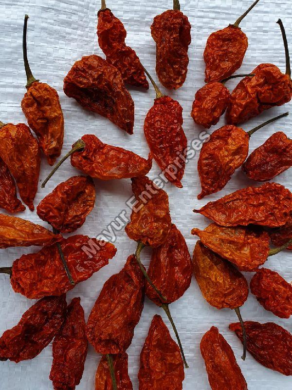SUN DRIED BHUT JOLOKIA CHILLI / GHOST PEPPER: