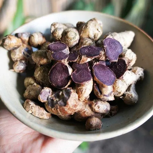 ORGANIC BLACK GINGER: