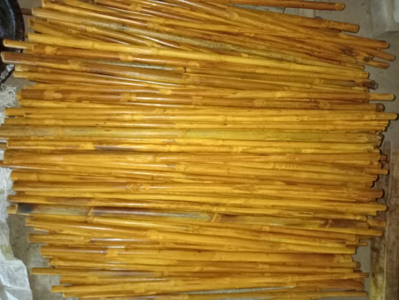 CANE (VARIETY: RAIDANG):