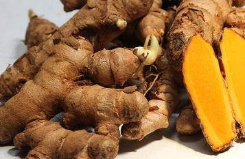 ORGANIC MEGHA - 1 TURMERIC: