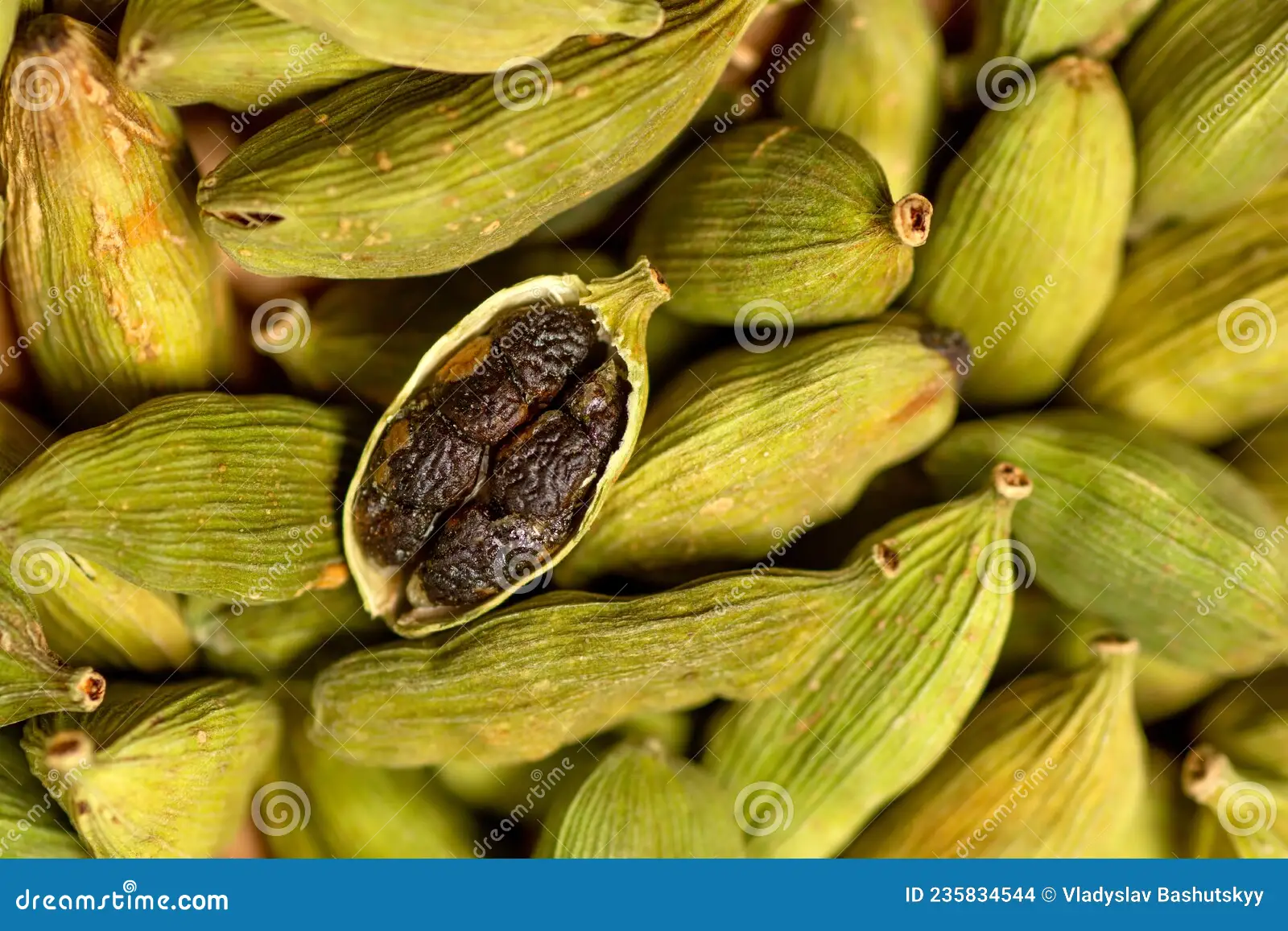ORGANIC GREEN CARDAMOM: